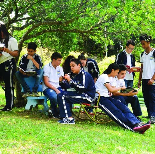 Colegio Bilingüe en el Sur de Cali